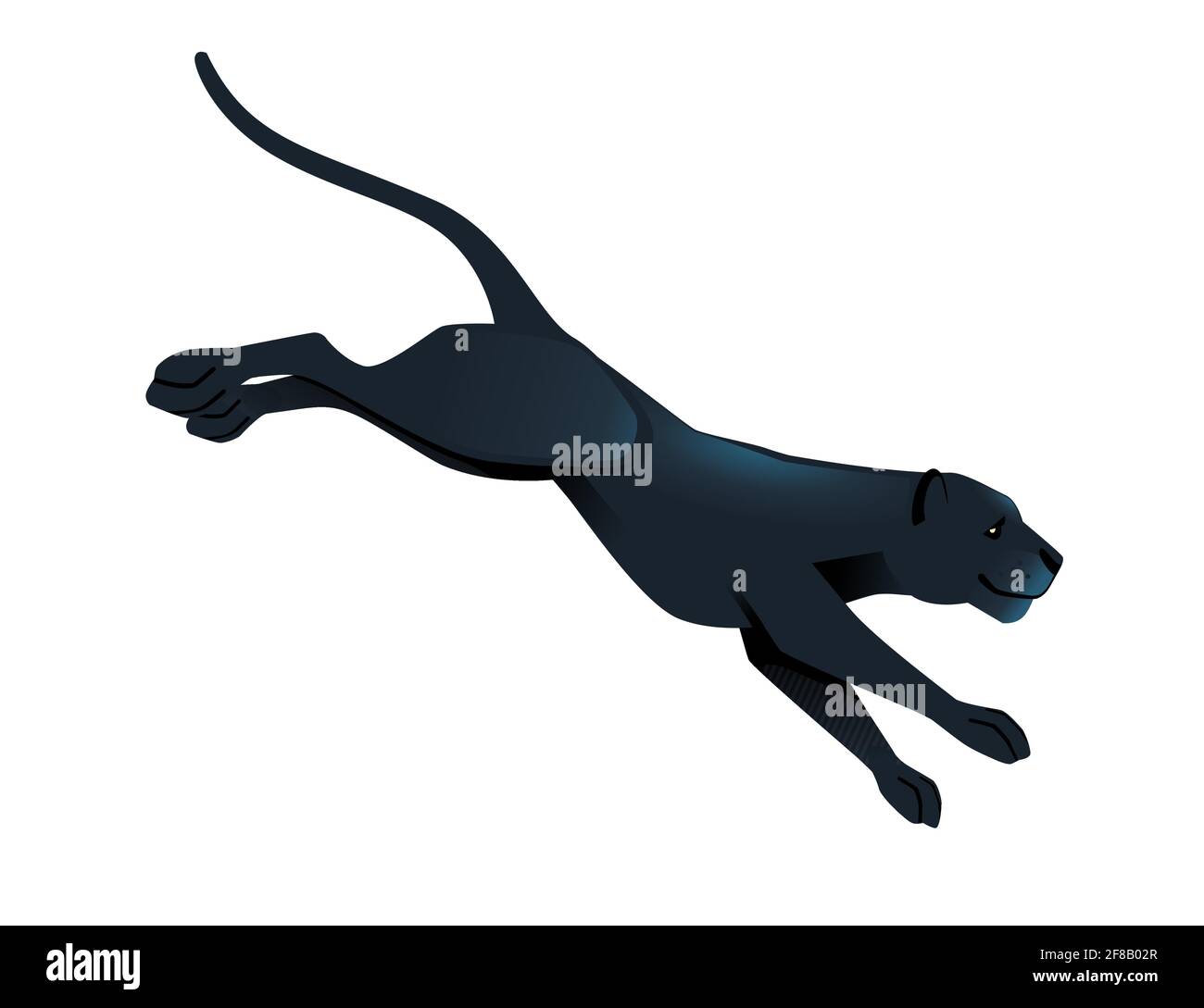 Pantera nera selvaggio grande gatto africano giungla cacciatore animale  cartone animato progettare l'illustrazione vettoriale su sfondo bianco  Immagine e Vettoriale - Alamy