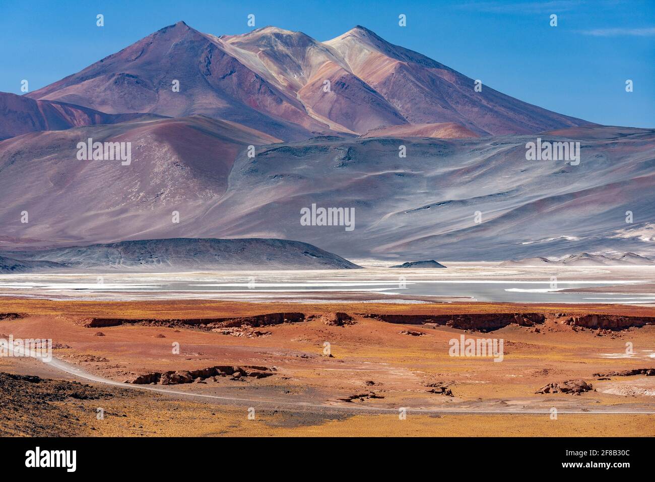 Alues Calientes Saline Flats alto sull'altiplano nel deserto di Atacama nella regione di Antofagasta del Cile settentrionale. Le aree bianche sono depositi di sa Foto Stock