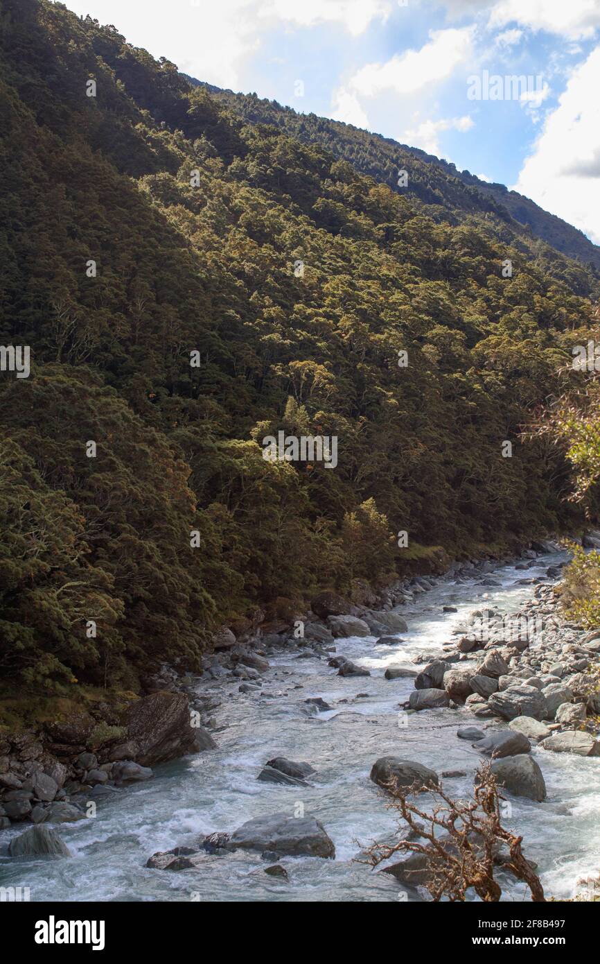 Il fiume corre lungo le colline laterali in Nuova Zelanda Foto Stock