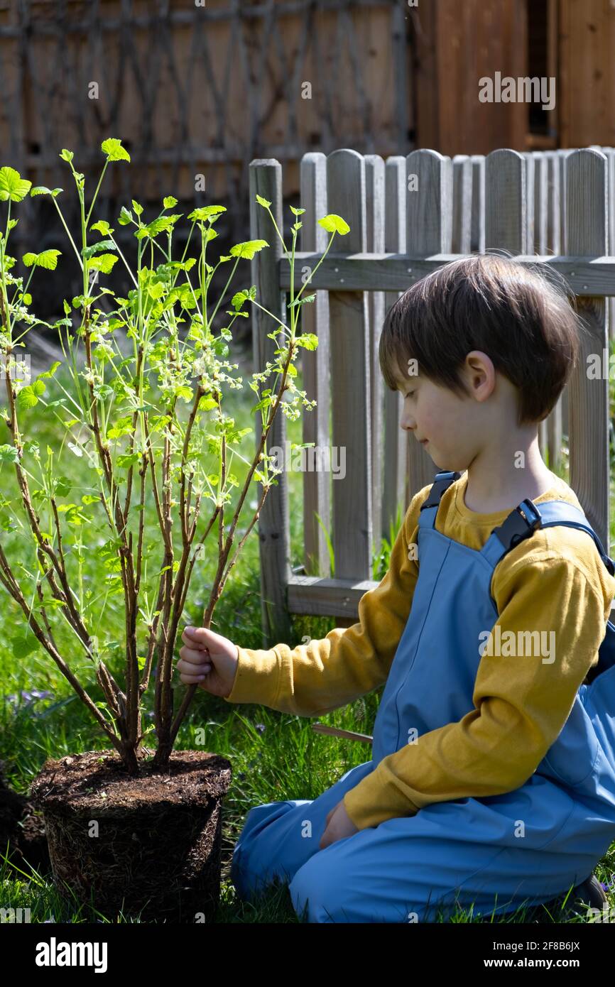 Piccolo aiutante in giardino Foto Stock