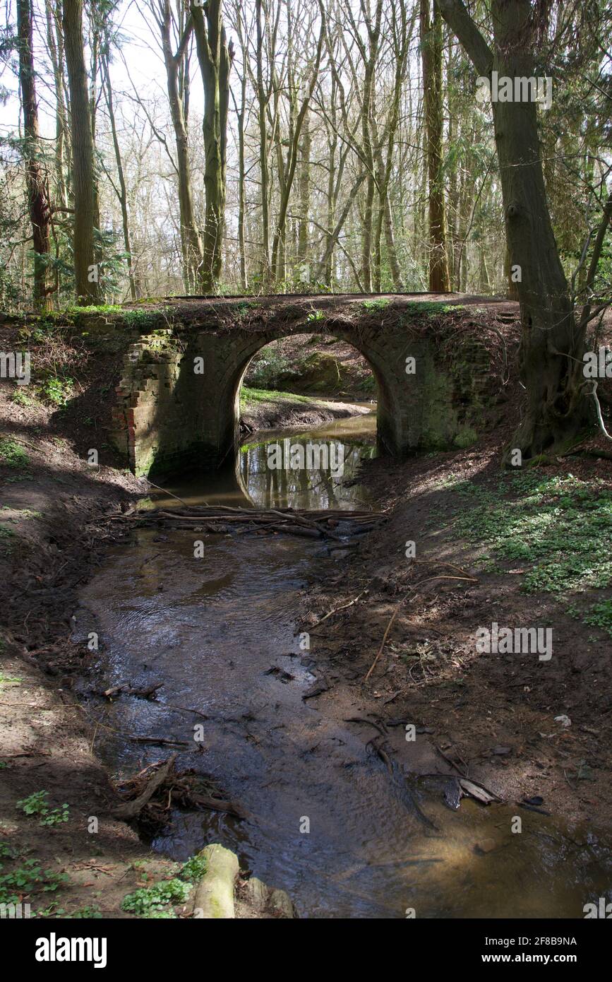 Immagine ritratto del ruscello che corre fino ad un ponte in bosco impostazione Foto Stock