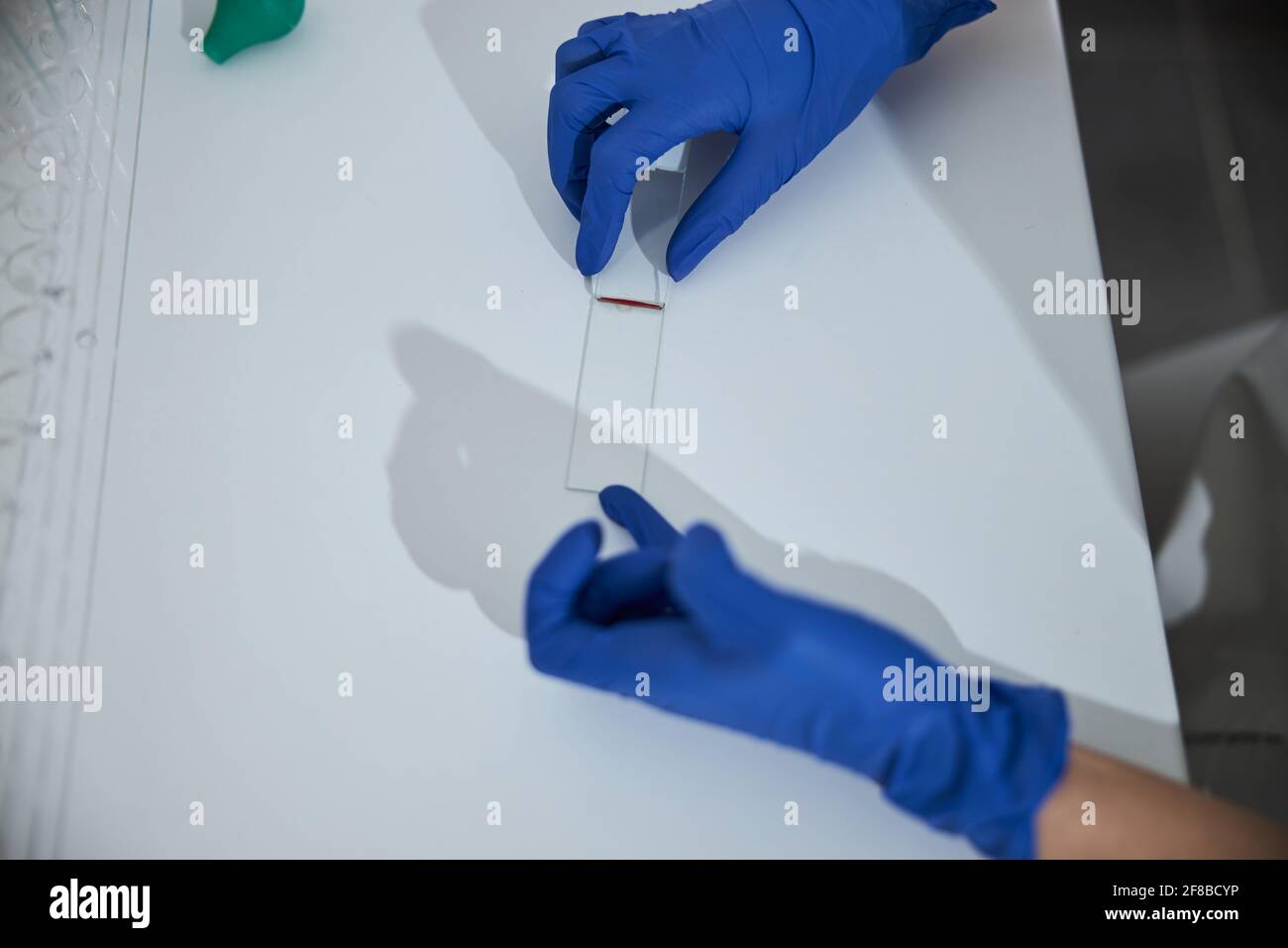 Tecnico di laboratorio medico qualificato che prepara un campione per l'esame microscopico Foto Stock