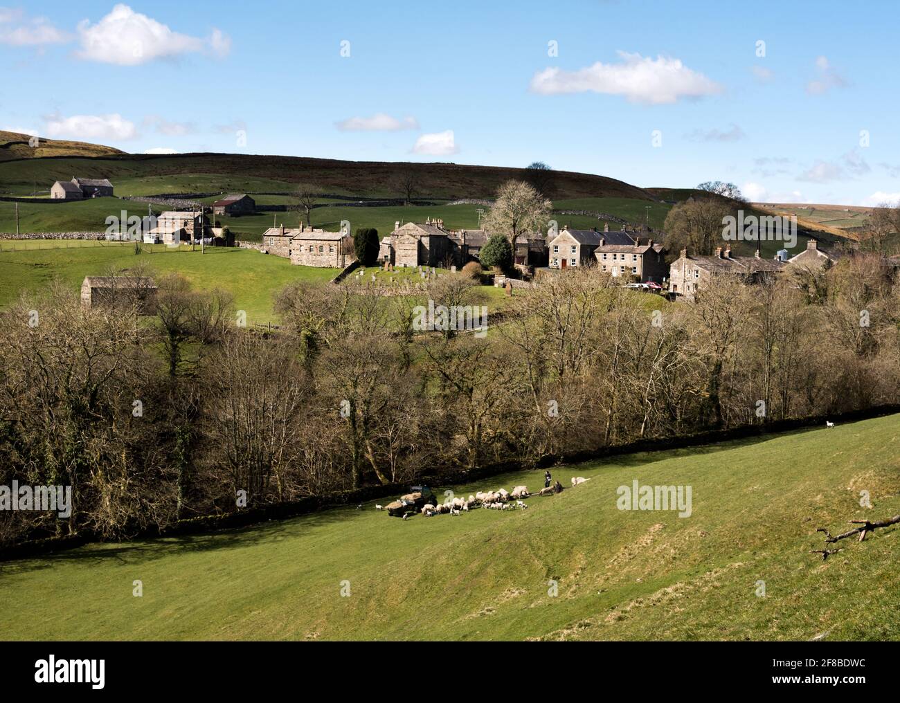 Il villaggio di Keld, Swaledale, Yorkshire Dales National Park, Regno Unito. Gli agricoltori tendono le pecore e gli agnelli nel campo sotto il villaggio. Foto Stock