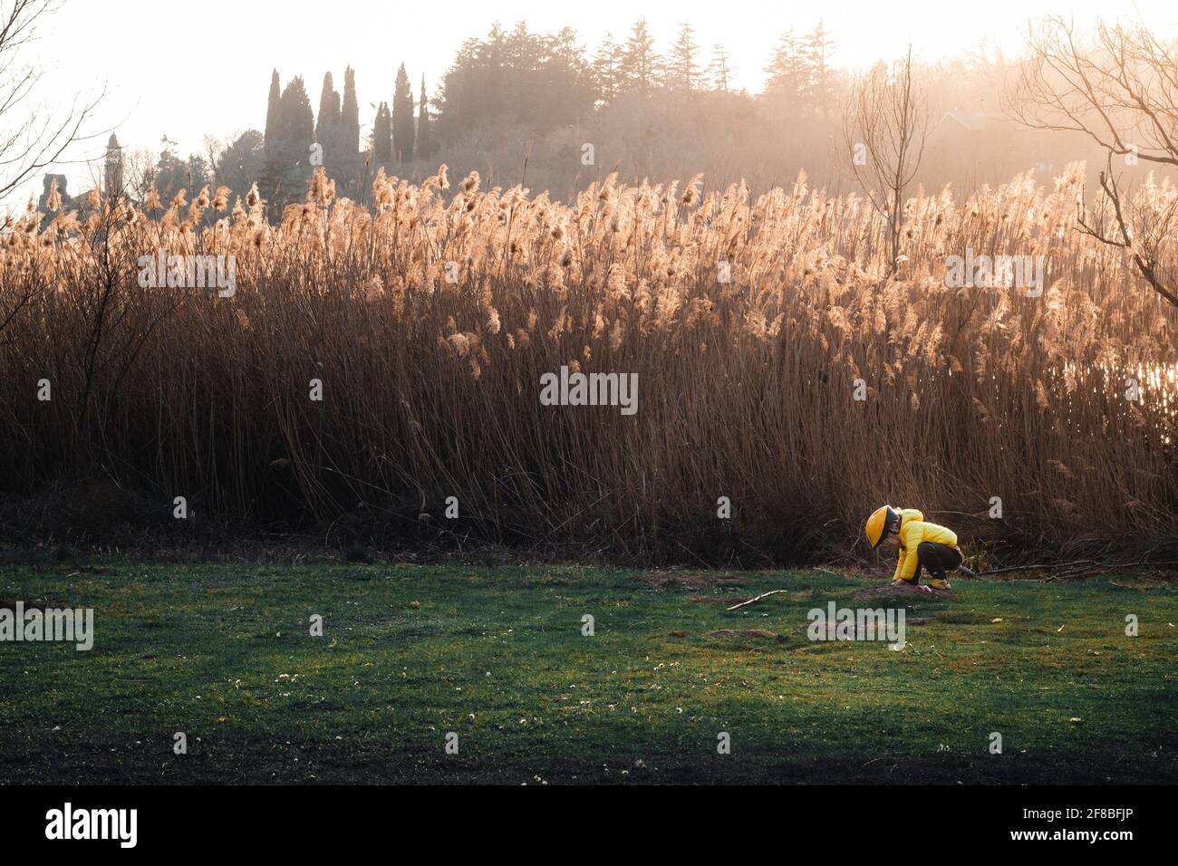 Silhouette di ragazzino che gioca sull'erba presso il lago con il suo cappotto giallo e casco ciclista. Foto Stock