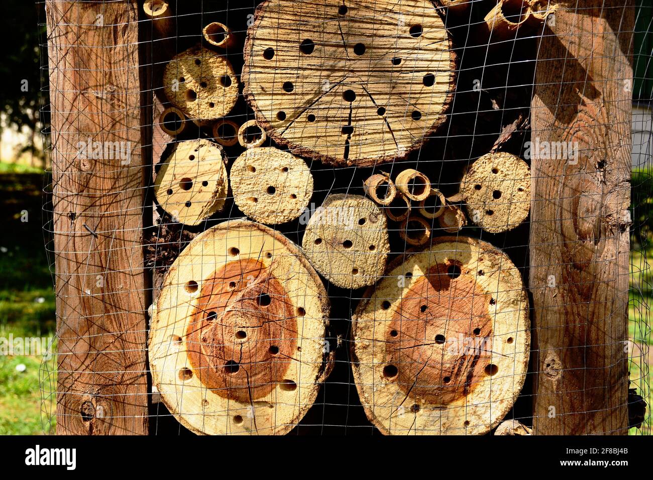 Insetto o bug hotel. Tagliare legno secco dettaglio tronchi. Tree tronco pezzi. Trapanare buchi impilati in legno telaio. Recinzione metallo copertura rete. Alloggio per insetti Foto Stock