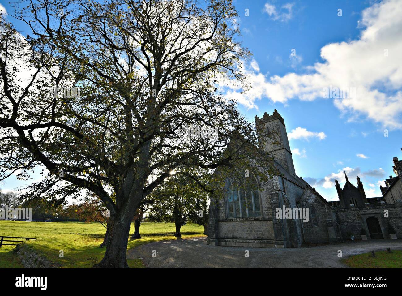 Paesaggio autunnale con vista panoramica del convento agostiniano medievale (Abbazia Nera) ad Adare, Limerick Irlanda. Foto Stock