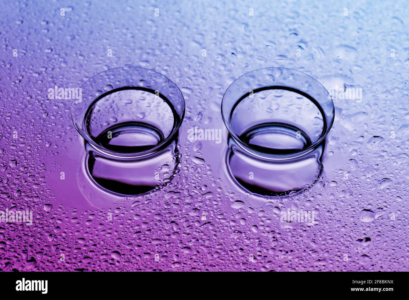 Lenti a contatto, su sfondo rosa-blu. Due lenti a contatto con gocce d'acqua su sfondo rosa-blu. Foto Stock