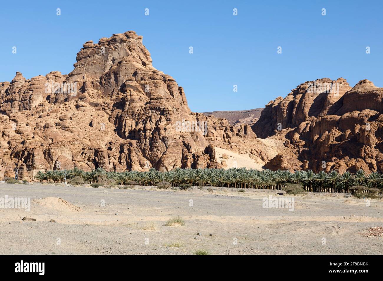 Paesaggio vicino al Ula, Arabia Saudita con palme da dattero Foto Stock