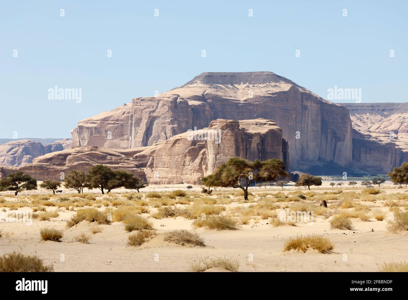Paesaggio tipico con montagne erose nell'oasi desertica di Al Ula in Arabia Saudita Foto Stock