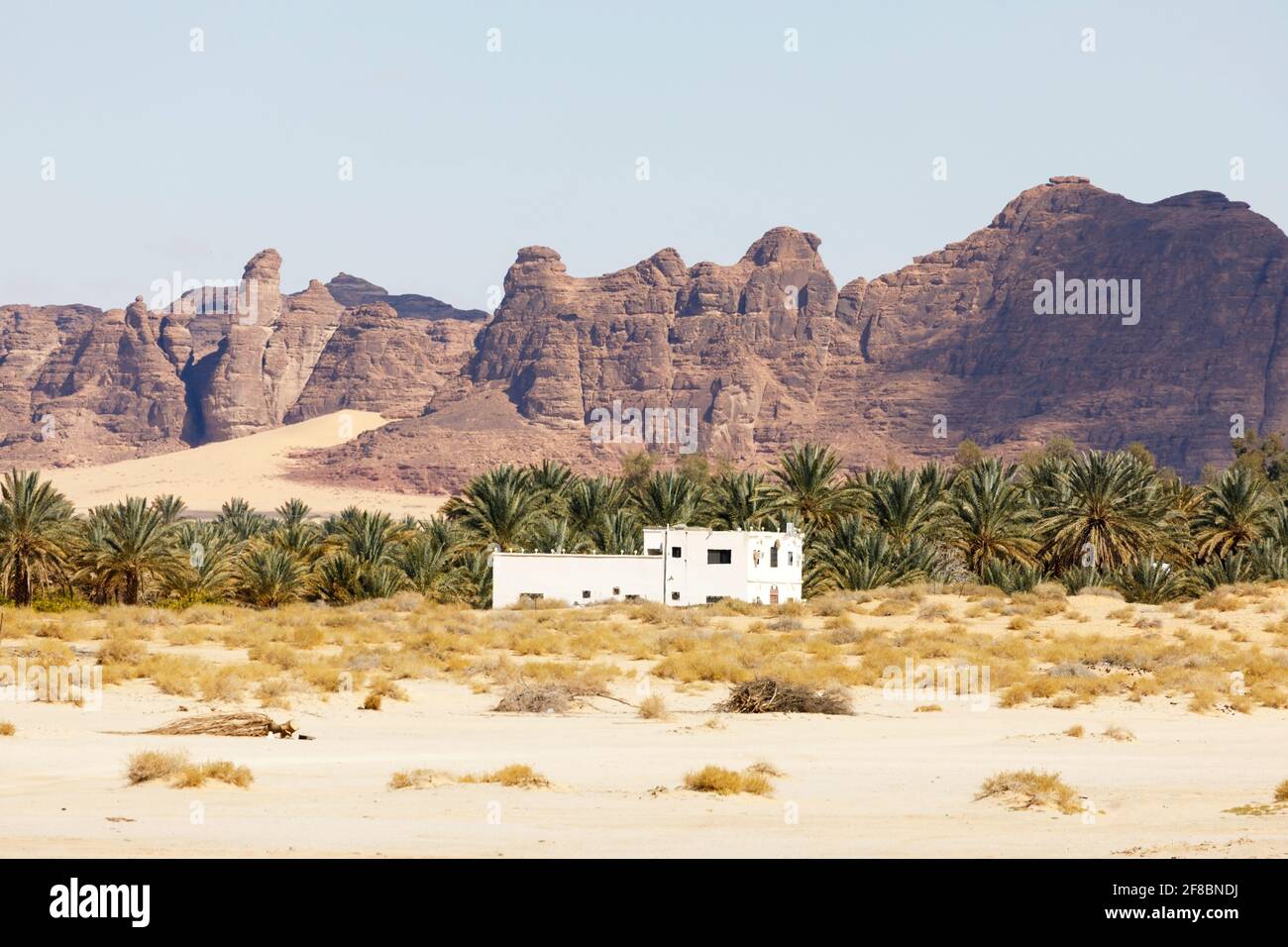 Paesaggio con la casa vicino al Ula, Arabia Saudita con palme da dattero Foto Stock