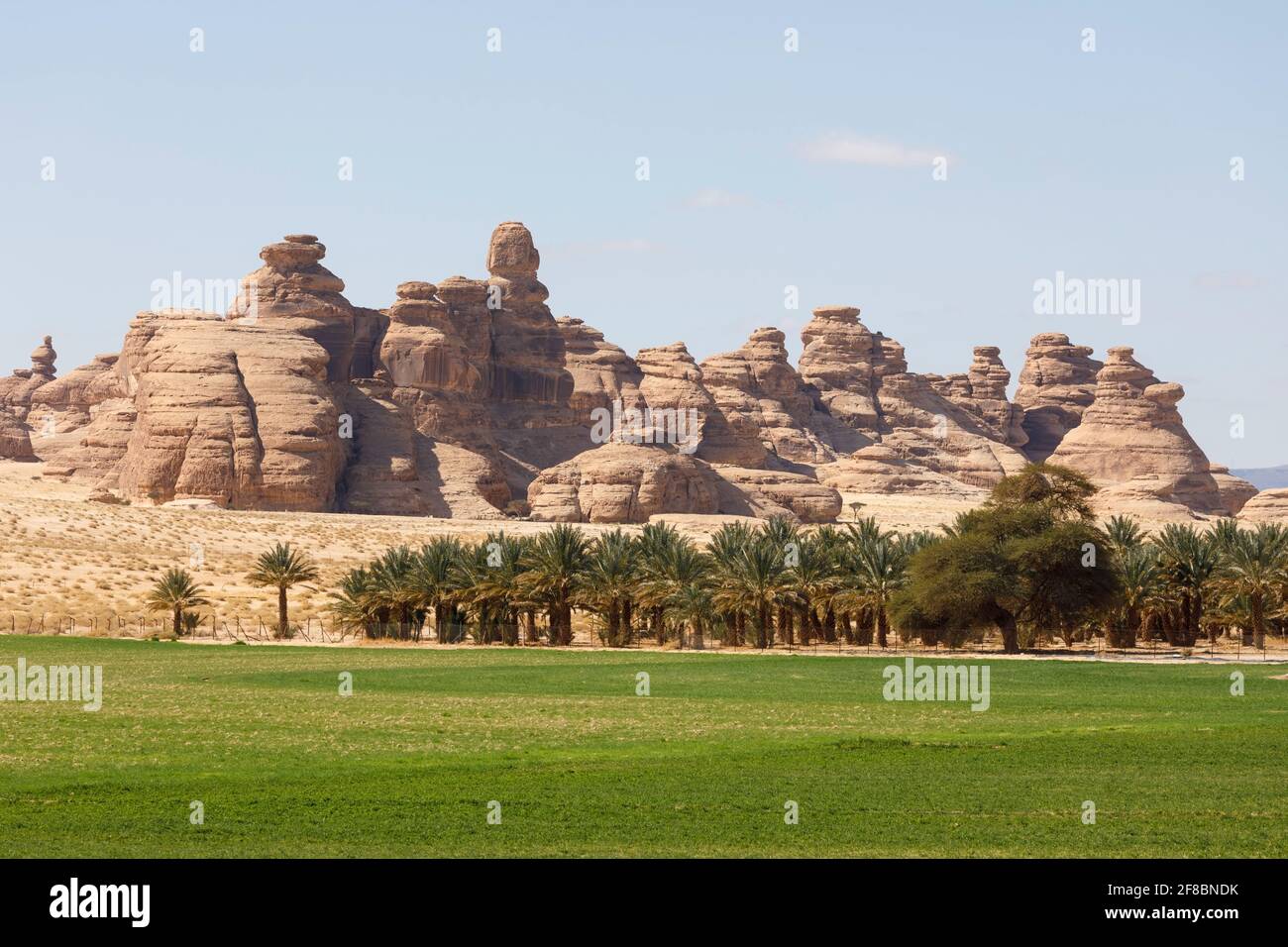 Paesaggio vicino al Ula, Arabia Saudita con palme da dattero Foto Stock
