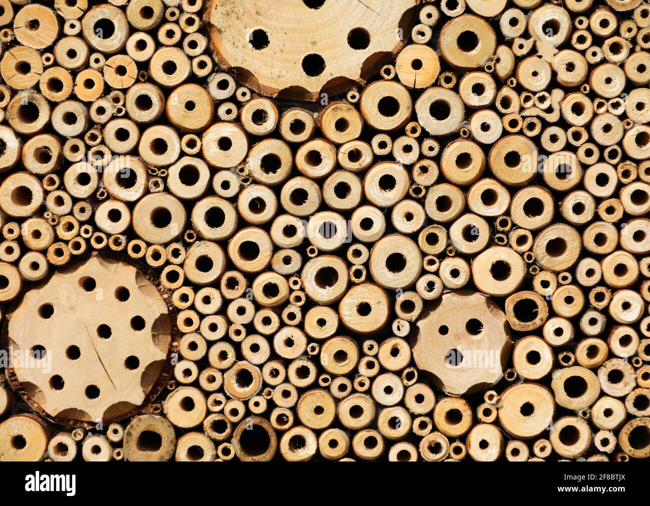 Insect Hotel Bee hotel con piccoli tubi nel legno Foto Stock
