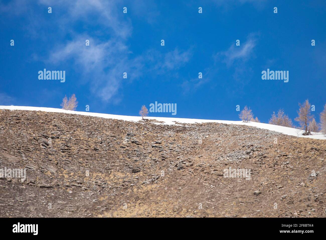 Cresta di una montagna rocciosa in Svizzera. Ripido paesaggio drammatico di terreno estremo, con alcune silhouette di alberi. Foto Stock