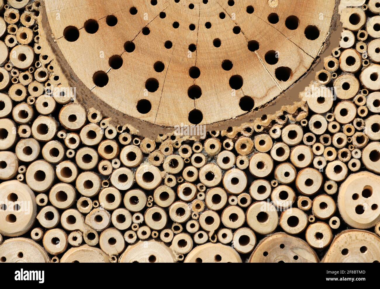 Insect Hotel Bee hotel con piccoli tubi nel legno Foto Stock