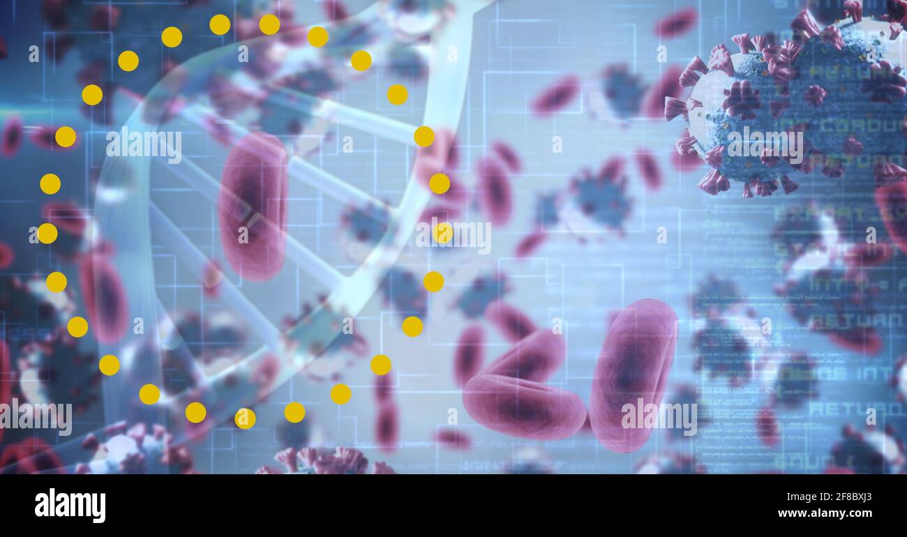 Cerchio, celle di coronavirus e doppia elica su elaborazione dei dati, tecnologia e concetto di covid-19 Foto Stock