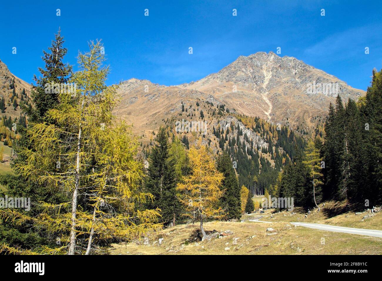 Austria, paesaggio nella valle di Villgraten, nel parco nazionale Hohe Tauern nelle Alpi austriache e una famosa zona escursionistica Foto Stock