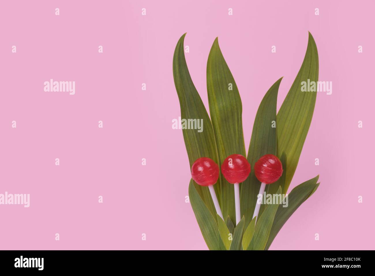 Concetto creativo minimal fatto di fiori e lecca su sfondo rosa pastello. Un moderno concetto di divertimento di doni, anniversari e amore. Spazio libero per Foto Stock