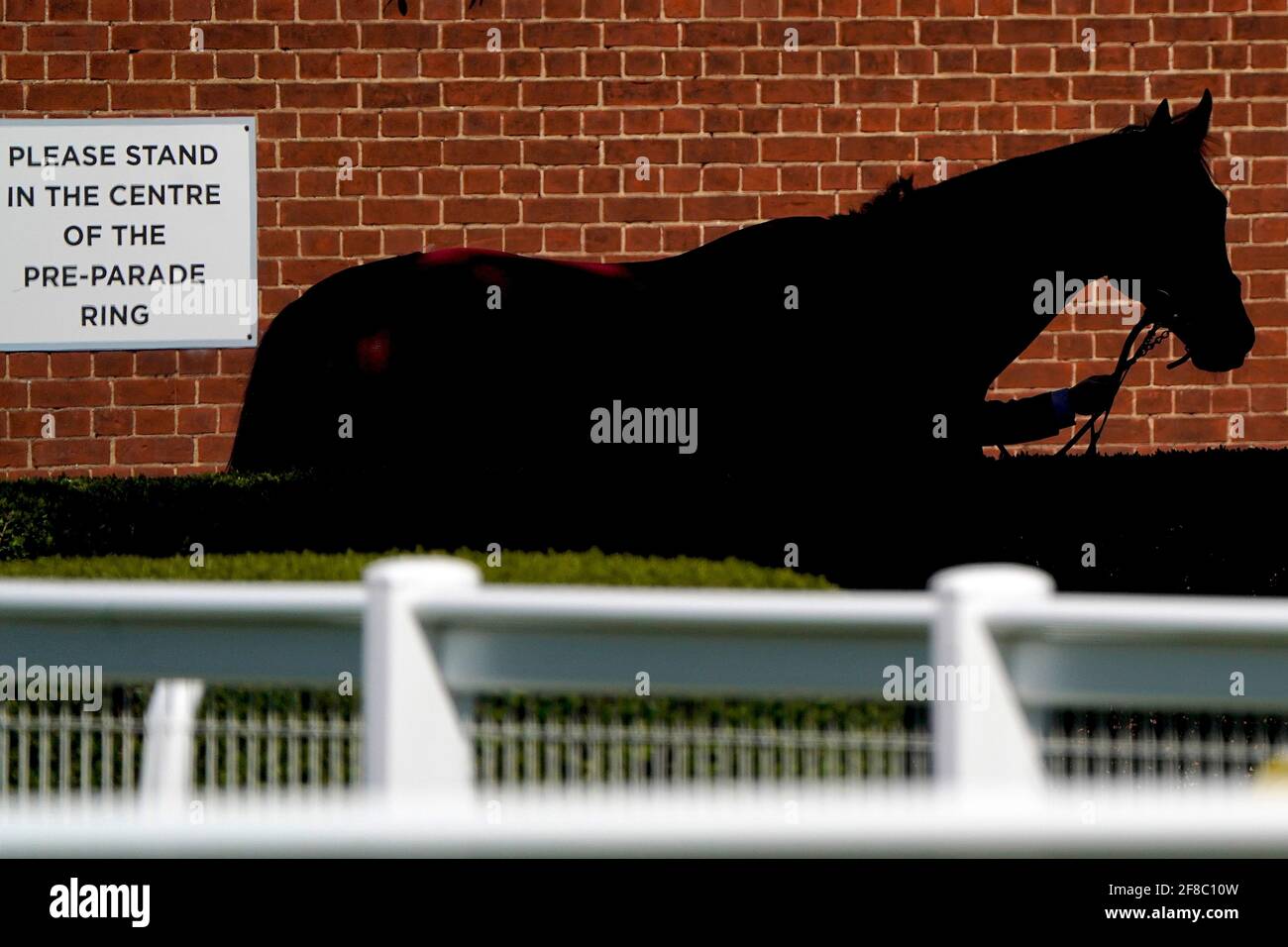 Una vista generale come passeggiate a cavallo nel circuito pre parade presso l'Ippodromo di Newmarket. Data immagine: Martedì 13 aprile 2021. Foto Stock