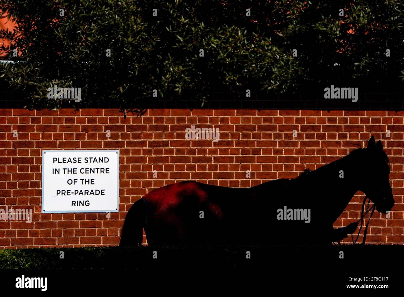 Una vista generale come passeggiate a cavallo nel circuito pre parade presso l'Ippodromo di Newmarket. Data immagine: Martedì 13 aprile 2021. Foto Stock