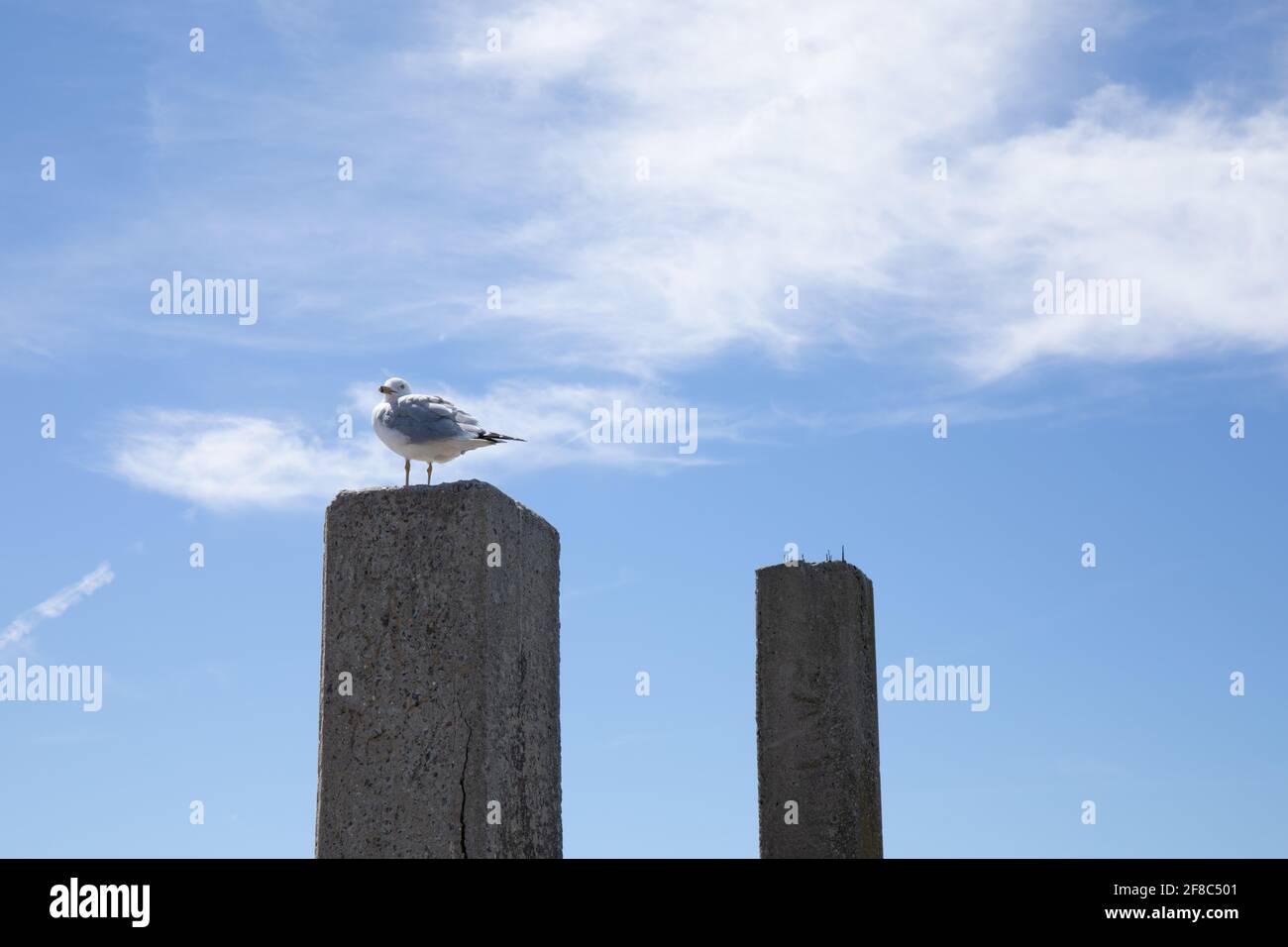 Monotono ad anello su un palone di cemento posto contro un cielo blu, costa atlantica, aspetto orizzontale Foto Stock