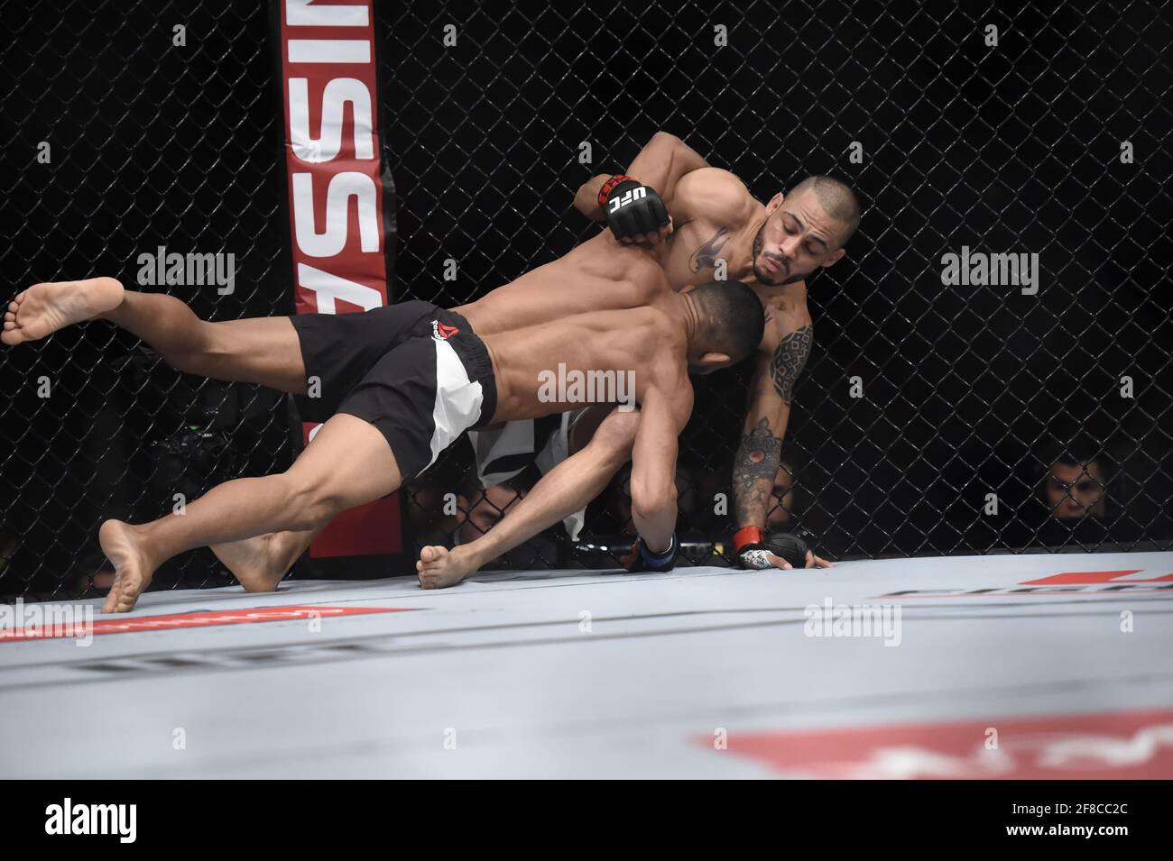 Rio de Janeiro-Brasile 10 gennaio 2020, UFC e i suoi combattimenti in Brasile Foto Stock