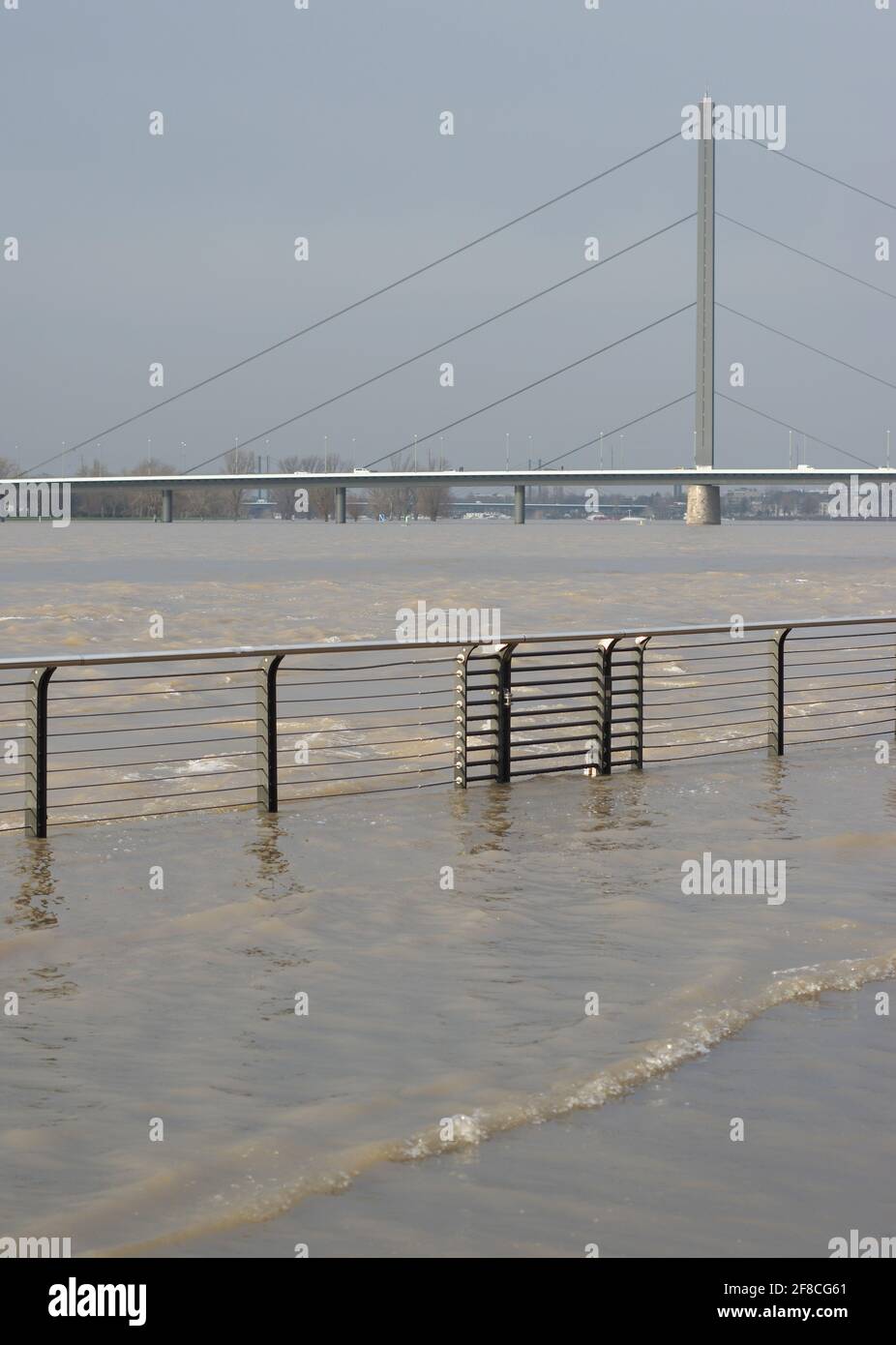Düsseldorf, Germania - 09 gennaio 2018: Inondazioni invernali del Reno nella città di Düsseldorf Foto Stock