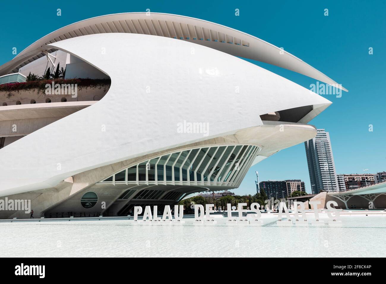 Il Palau de les Arts Reina Sofía progettato da Santiago Calatrava per ancorare l'estremità nord-occidentale della Città delle Arti e delle Scienze a Valencia, Spagna. Foto Stock