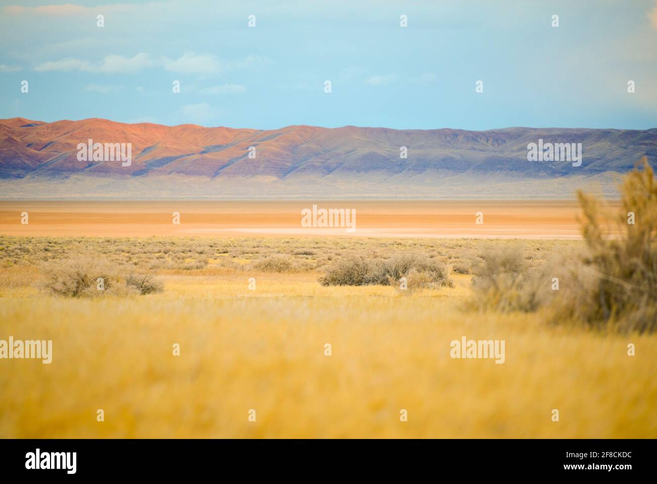 Alvord Desert Playa al tramonto Foto Stock