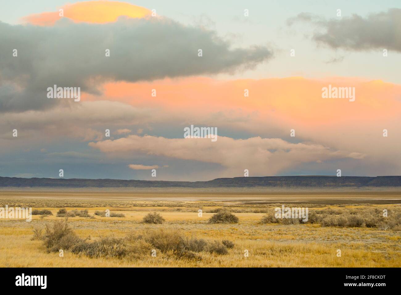 Nuvole sul deserto dell'Alvord al tramonto Foto Stock