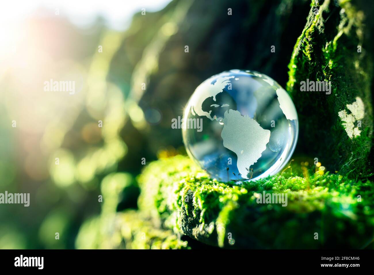Globo di vetro nel concetto in natura per l'ambiente e. conservazione Foto Stock