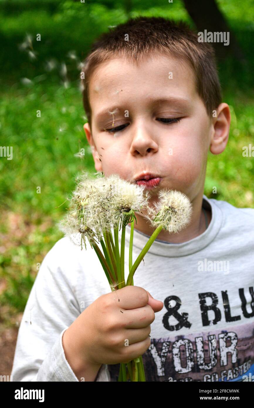 bel ragazzo che soffia su dandelioni nel parco Foto Stock