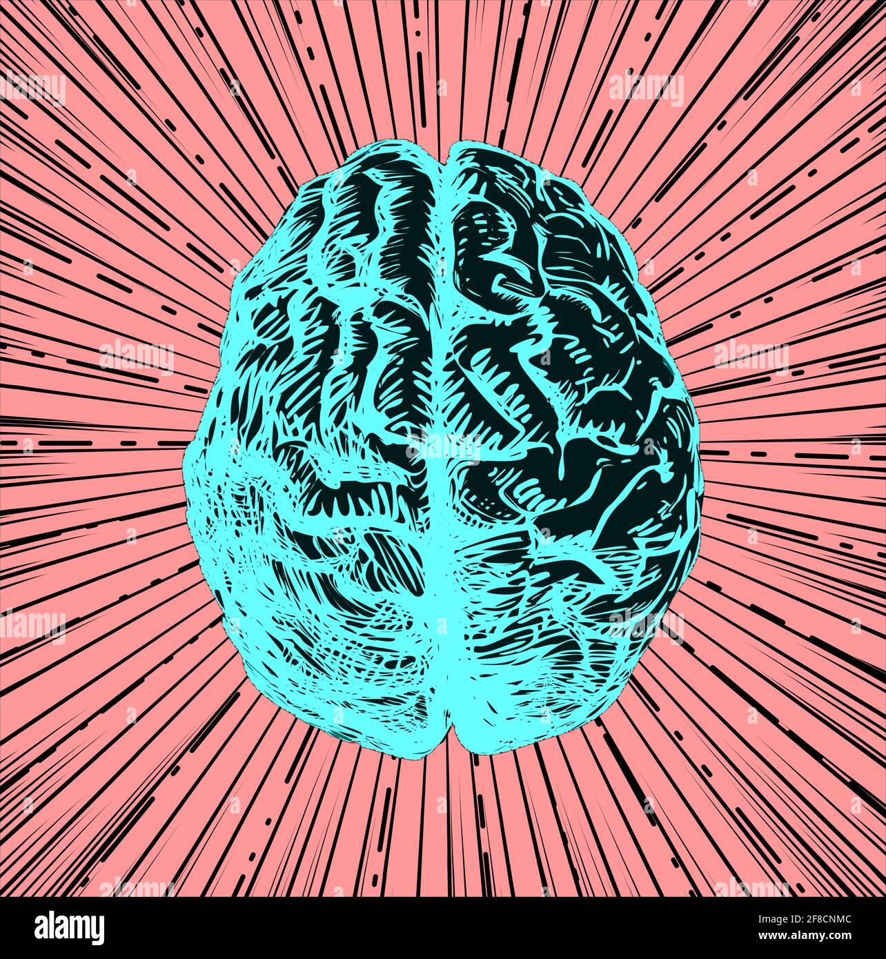 Illustrazione del cervello umano, vista dall'alto Foto Stock