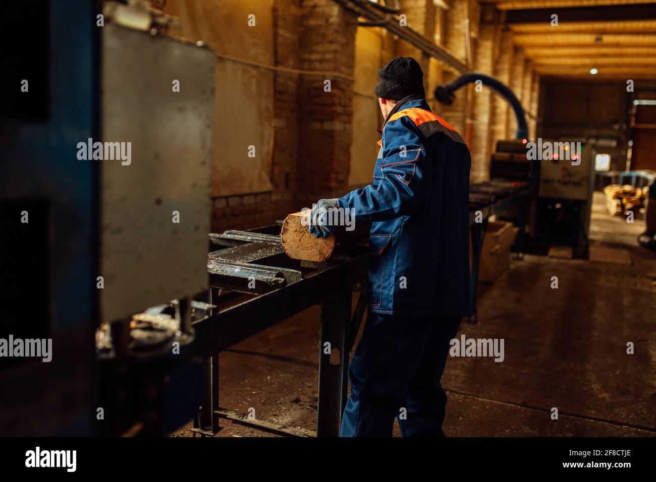 il lavoratore dirige il log al trasportatore. una persona lavora in forma protettiva su una segheria. lavorazione automatica del legno in un'impresa industriale Foto Stock