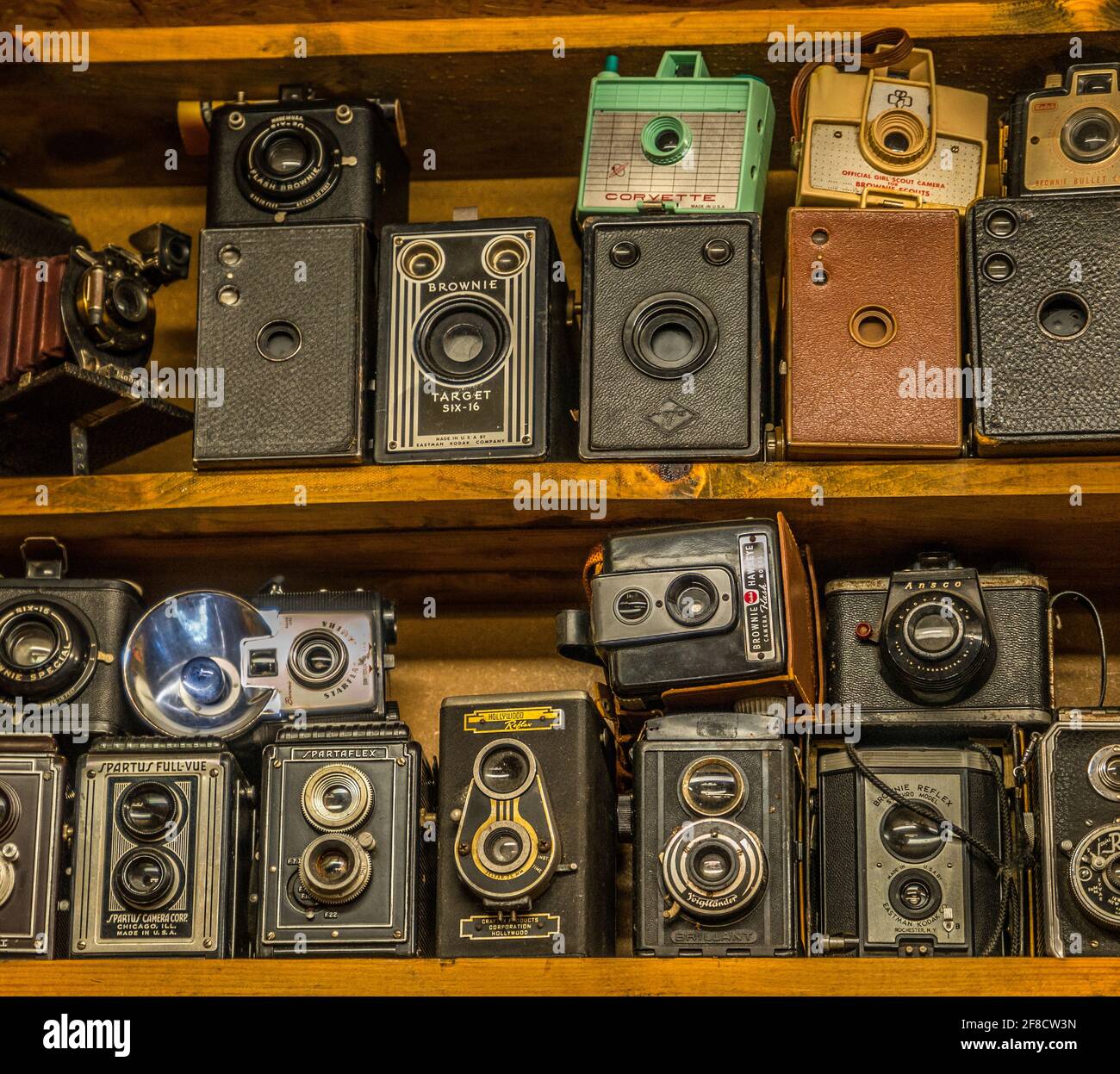 Una collezione di vecchie macchine fotografiche di film d'epoca di diverse  generi su uno scaffale su esposizione interna Foto stock - Alamy