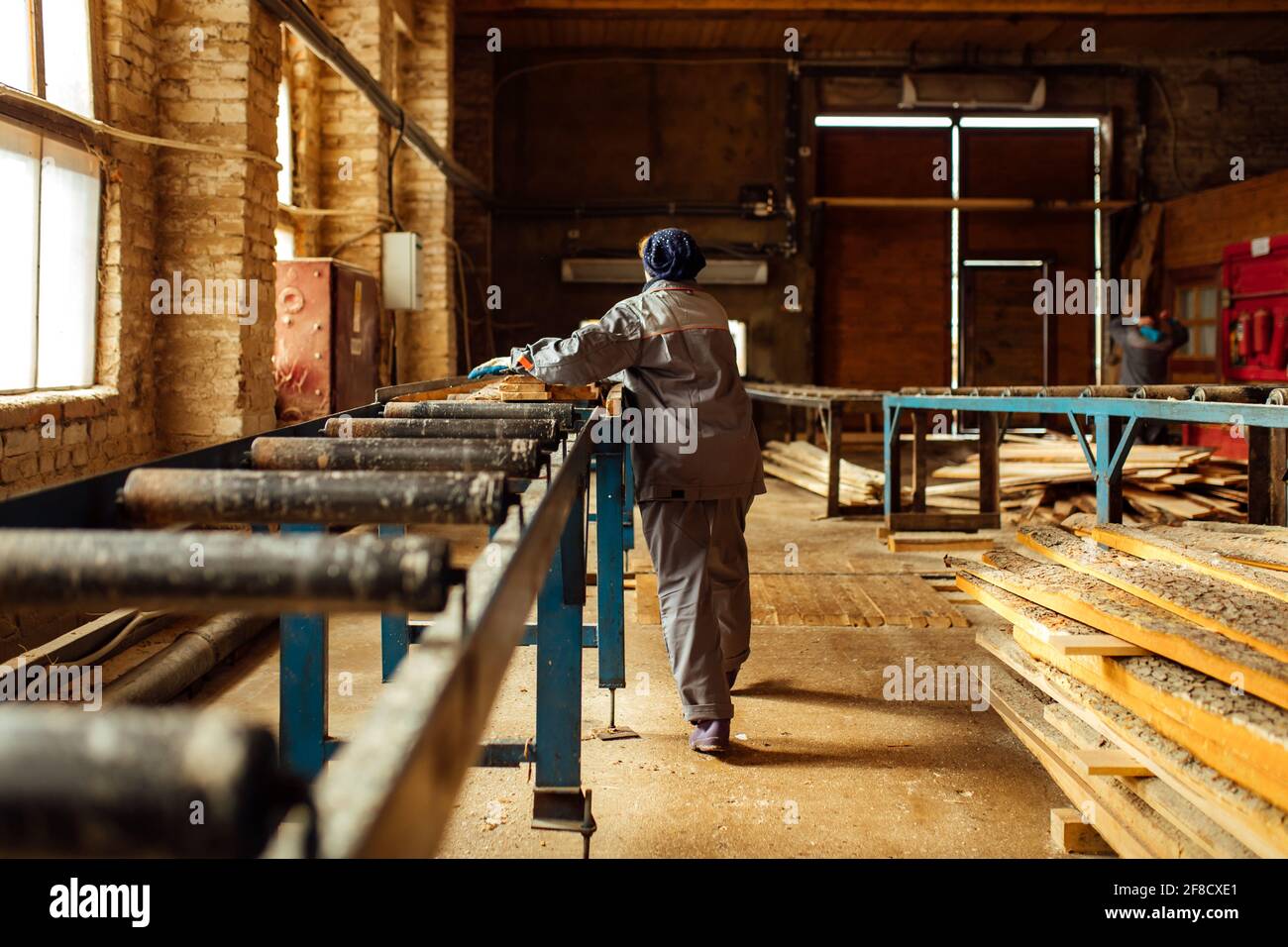 il lavoratore dirige il log al trasportatore. una persona lavora in forma protettiva su una segheria. lavorazione automatica del legno in un'impresa industriale Foto Stock