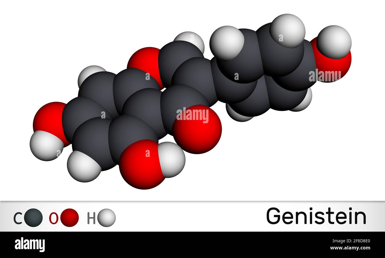 Molecola di isoflavone genistein. È un inibitore dell'angiogenesi, fitoestrogeno, isoflavonoide derivato da prodotti di soia. Ha attività antielmintica. Mol Foto Stock