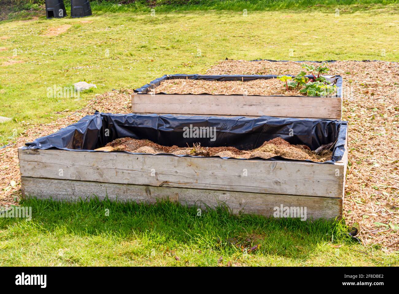 Giardiniere che fa un inizio con letti rialzati con uno pieno, e uno che è riempito di composto in un giardino di no-dig Foto Stock