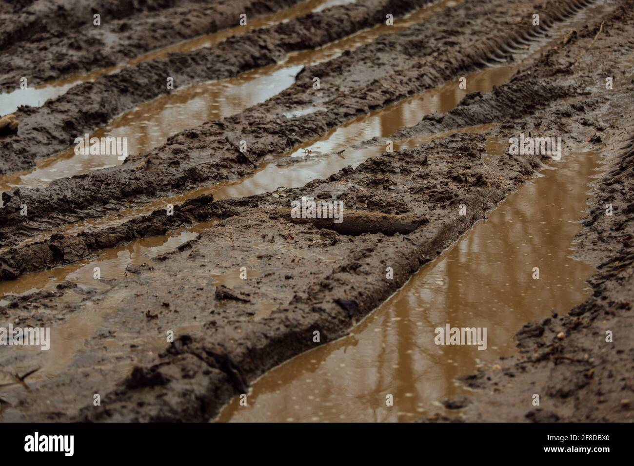 fango sulla strada fangosa. tracce dalle ruote di auto che passano nel terreno bagnato e ammorbidito. la strada è difficile da trasportare. pudddles Foto Stock