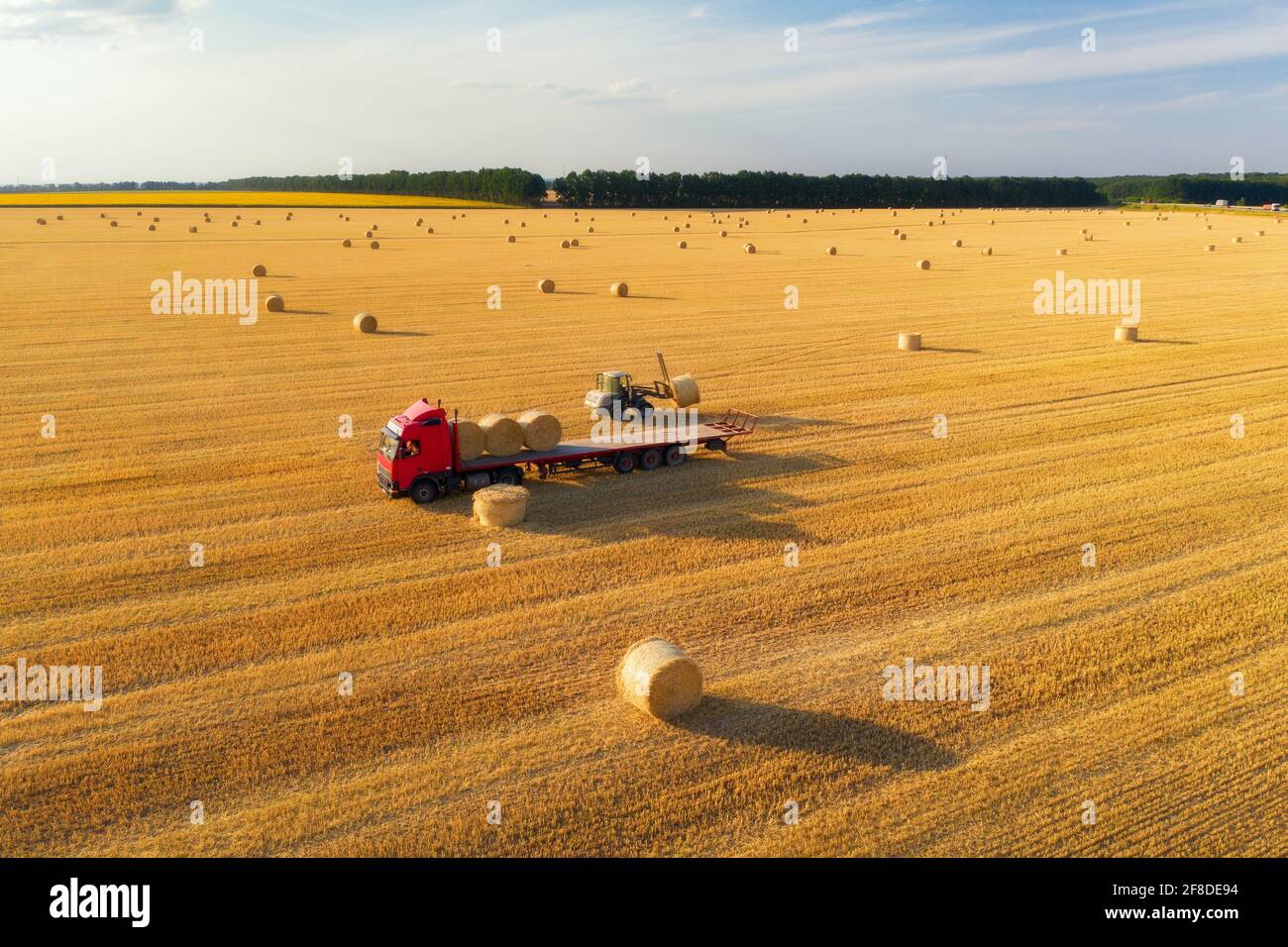 Vista aerea del carrello con balle di fieno. Macchine agricole. Campi smussati e fieno dopo aver raccolto i raccolti di grano al tramonto. Vista dall'alto. Trattore Foto Stock