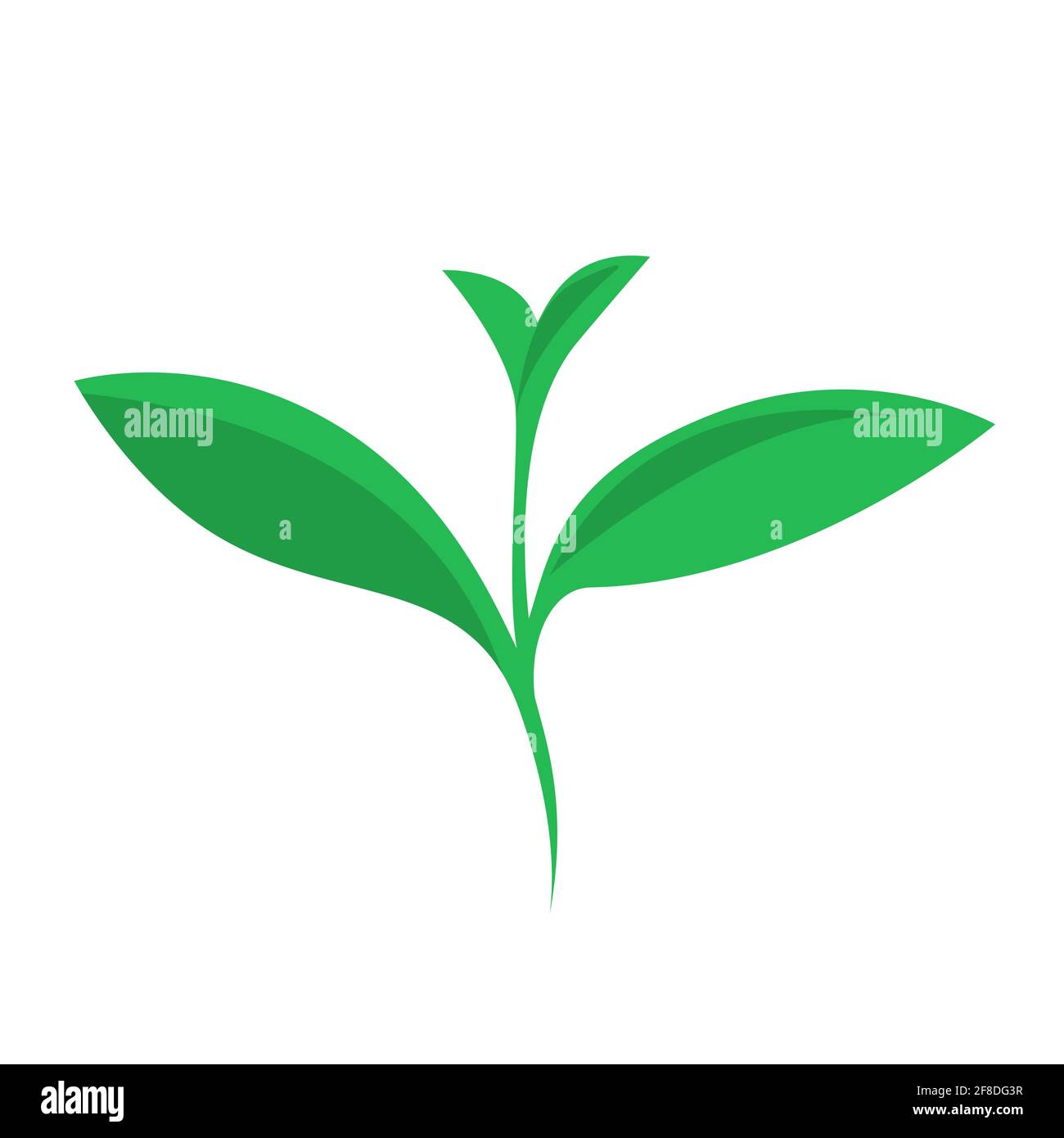 Germoglio verde di una pianta su sfondo bianco. Simbolo di ecologia. Immagine piatta isolata dal vettore Illustrazione Vettoriale