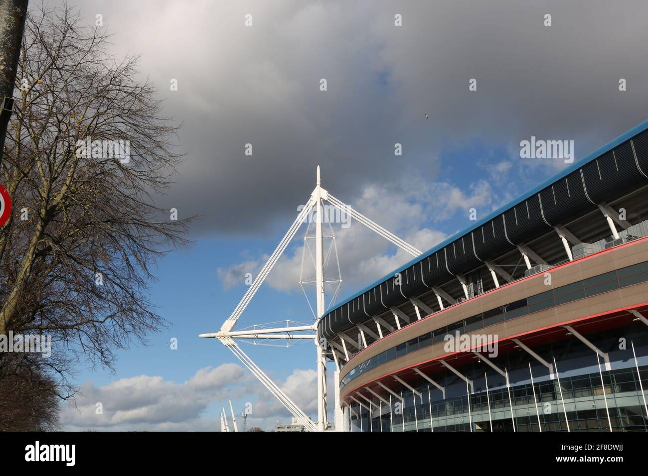 Stadio del Principato, Cardiff Foto Stock