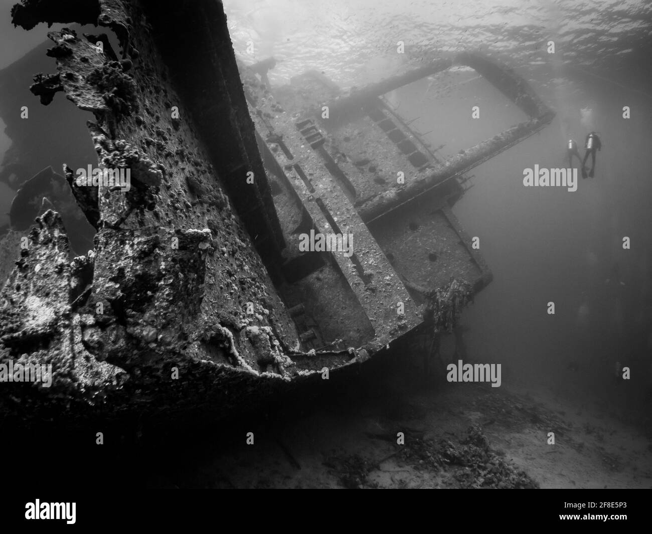 Immagine in scala di grigi di una nave sommersa e subacquei che nuotano nelle vicinanze Foto Stock