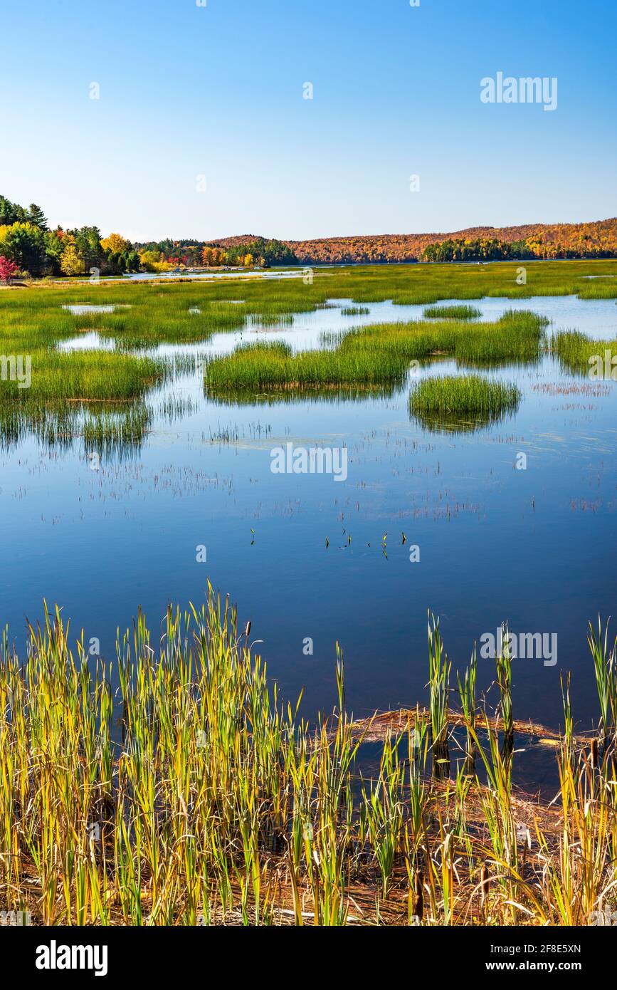 Autunno sul lago Tupper, Franklin County, Adirondack Park, New York Foto Stock