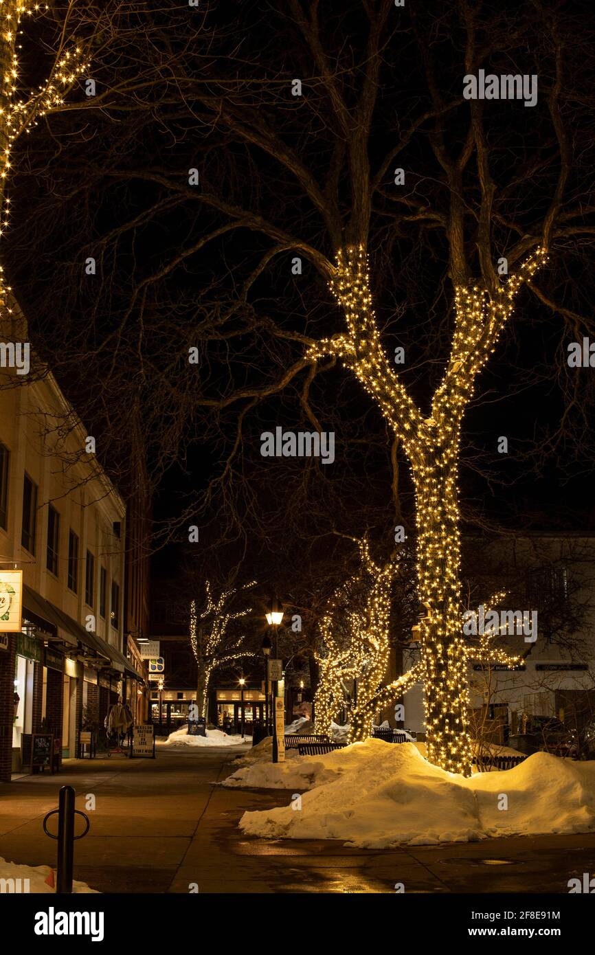 Una fredda notte di febbraio nel centro di Portsmouth, New Hampshire. Gli alberi sono decorati con luci. Portsmouth è una vivace città balneare sulla costa del New Hampshire. Foto Stock