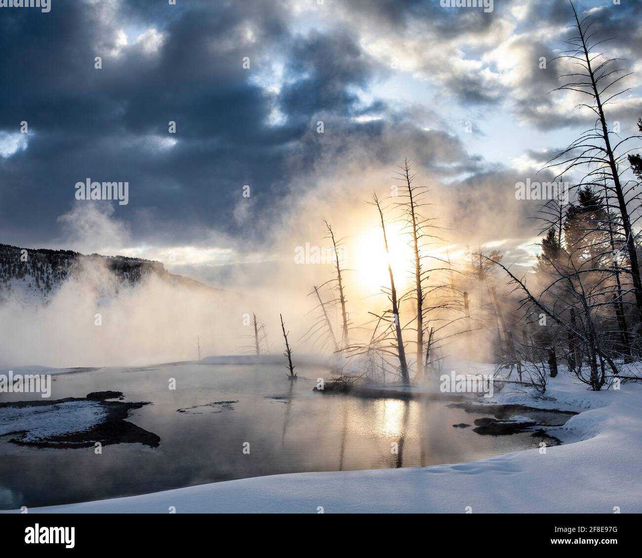 WY04627-00...WYOMING - Canary Springs nella terrazza superiore delle sorgenti termali di Mammoth nel Parco Nazionale di Yellowstone. Foto Stock