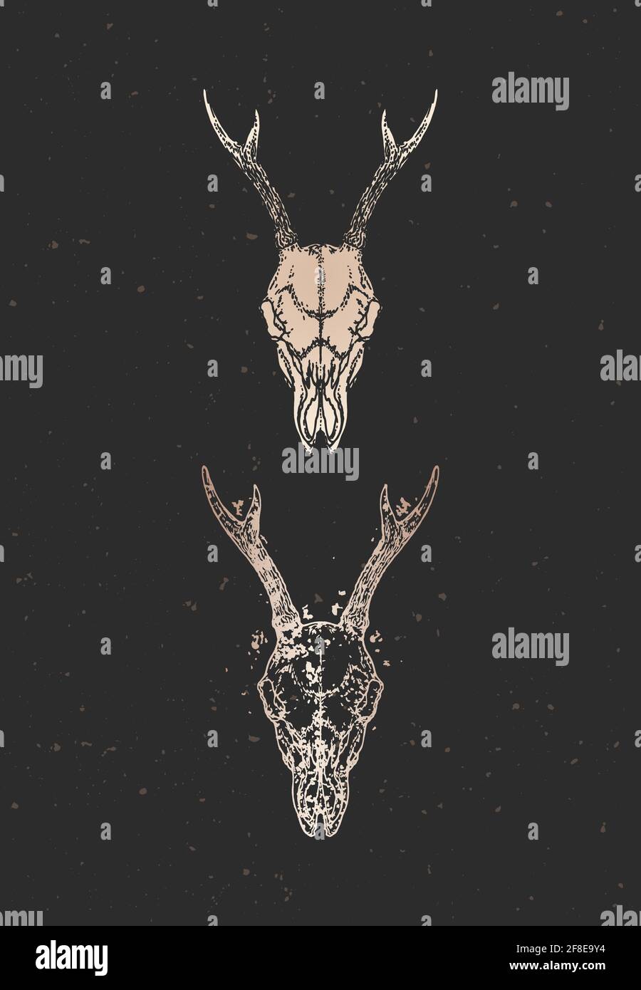Illustrazione vettoriale con due varianti di teschi di capriolo disegnati a mano su sfondo nero. Silhouette dorate e contorno con texture grunge. Per te des Illustrazione Vettoriale