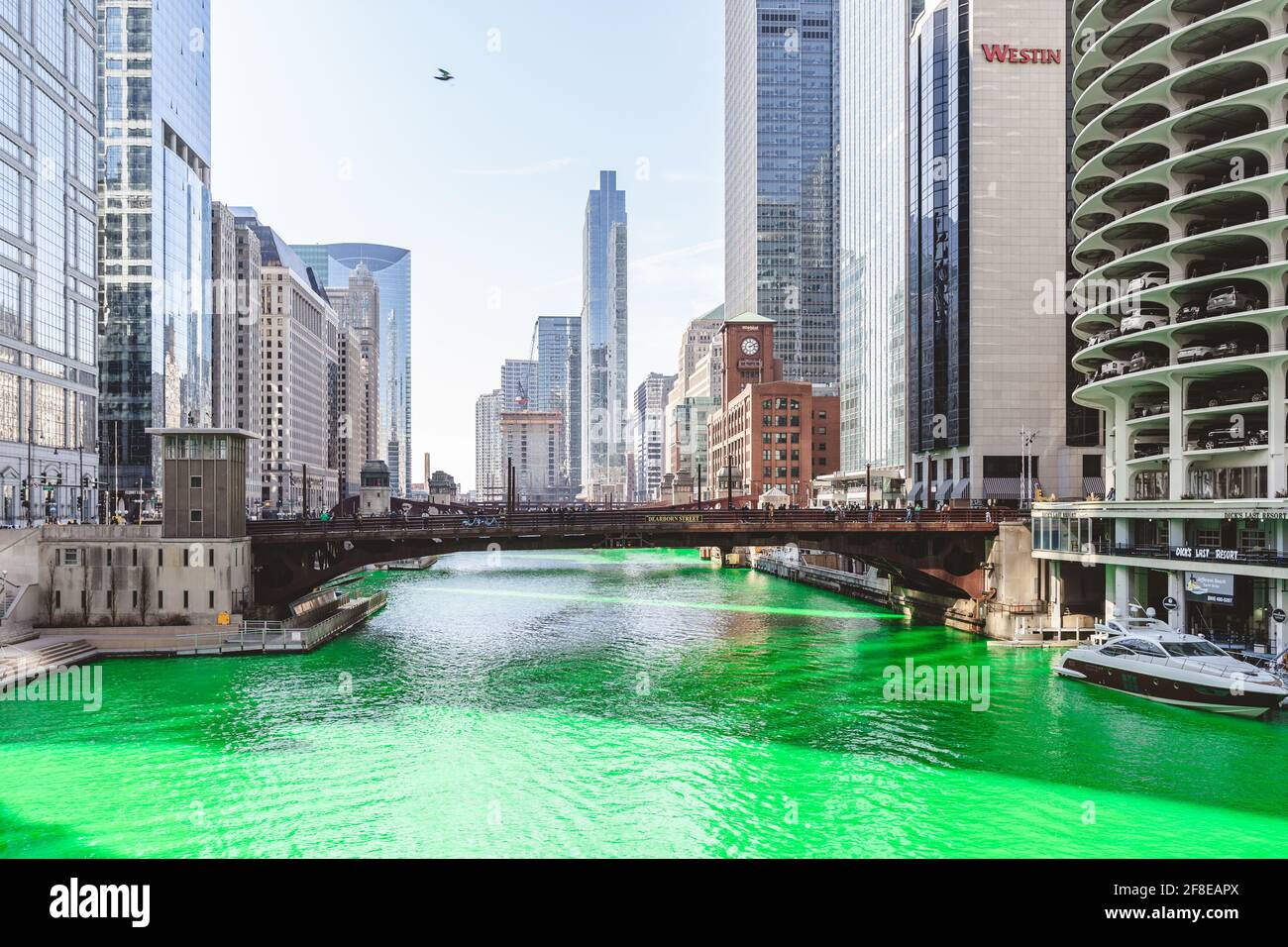 Immagine panoramica di un fiume e skyline di Chicago di colore verde. Foto Stock