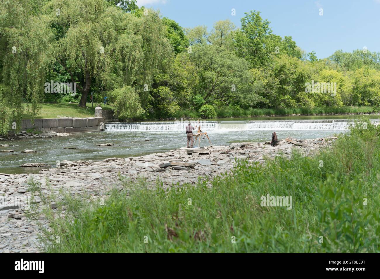 En plein Air pittore vicino al letto Humber River, Toronto Foto Stock