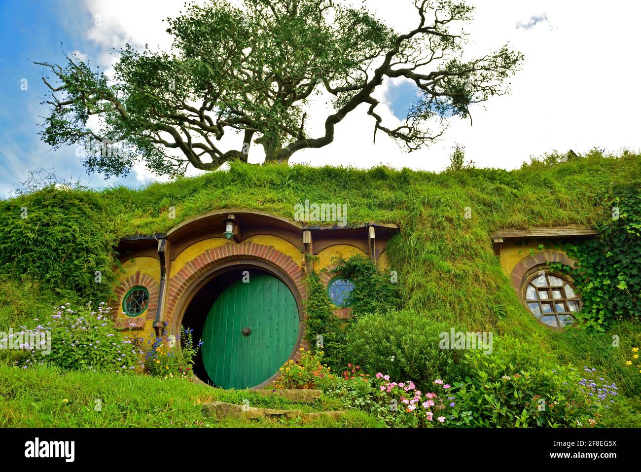 Un torreggiante albero di quercia si stende da Bag End - falso, anche se è, è ancora molto maestoso in statura preso @Hobbiton Movie Set, Hamilton, Nuova Zelanda Foto Stock