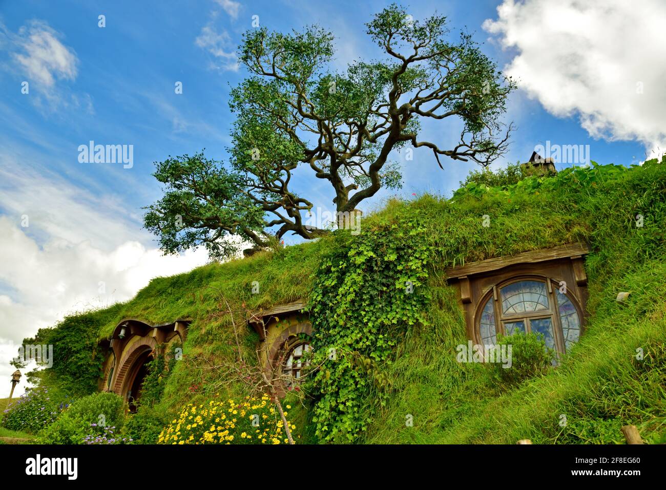Non credevo che si tratti di un albero falso sullo sfondo preso @Hobbiton Movie Set, Hamilton, Nuova Zelanda Foto Stock